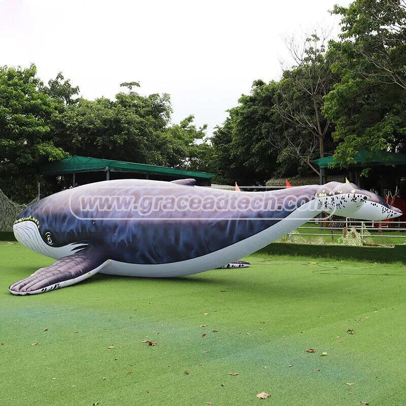 Inflatable Whale Inflatable Marine Animals Mascot for Event