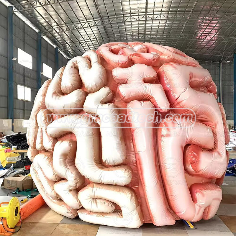 Giant Medical inflatable Human Organ Inflatable Brain Model for Teaching
