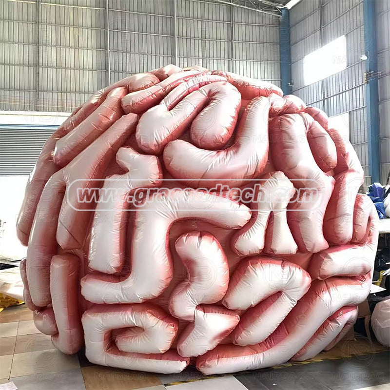 Giant Medical inflatable Human Organ Inflatable Brain Model for Teaching