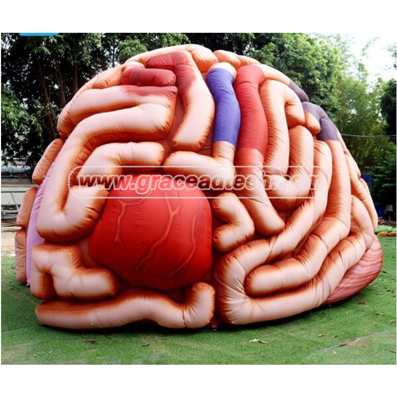 Giant Medical inflatable Human Organ Inflatable Brain Model for Teaching
