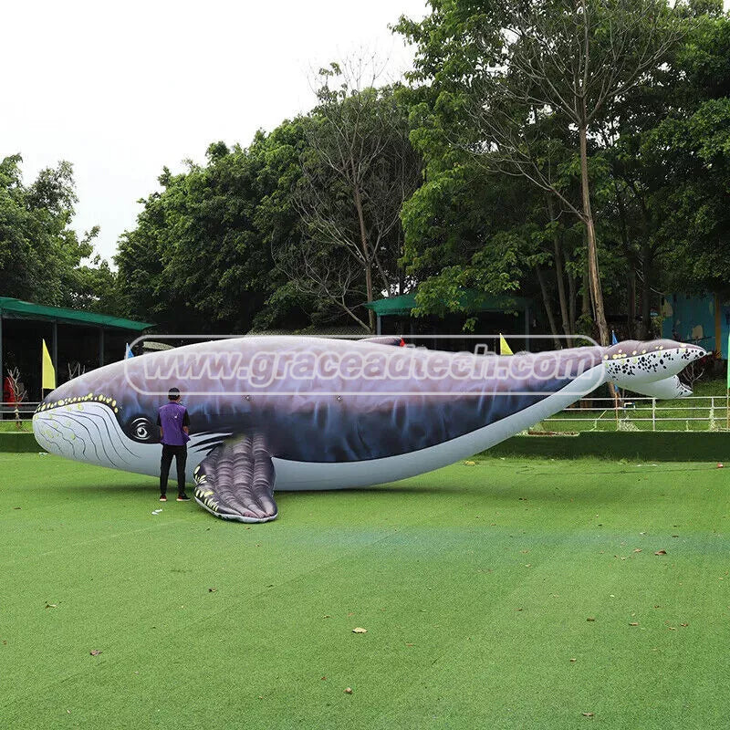 Inflatable Whale Inflatable Marine Animals Mascot for Event