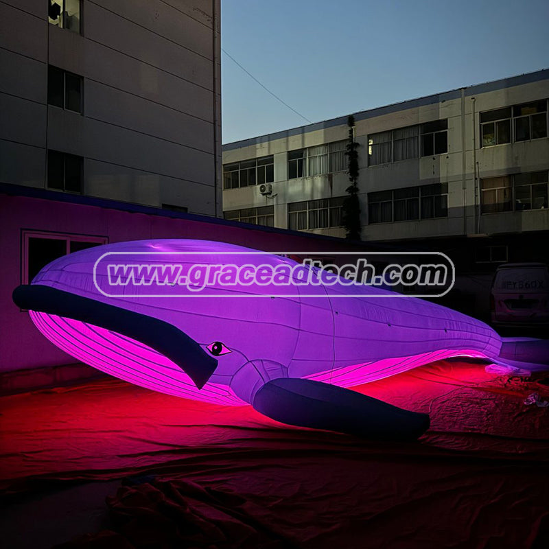 Inflatable Whale Inflatable Marine Animals Mascot for Event