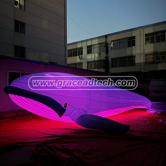 Inflatable Whale Inflatable Marine Animals Mascot for Event