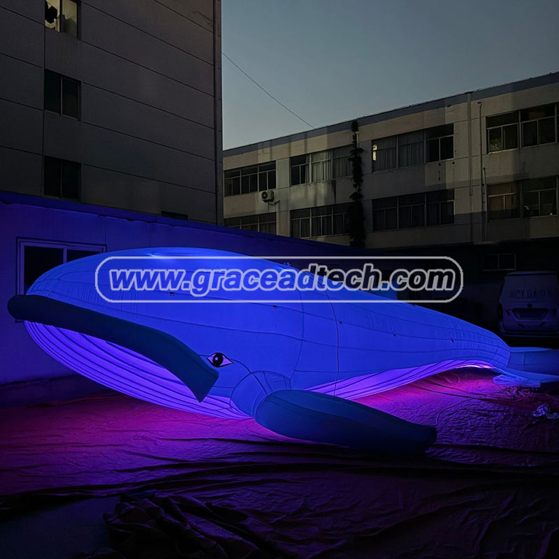 Inflatable Whale Inflatable Marine Animals Mascot for Event