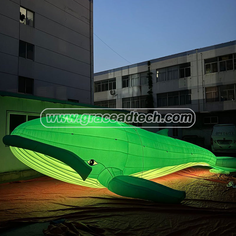 Inflatable Whale Inflatable Marine Animals Mascot for Event